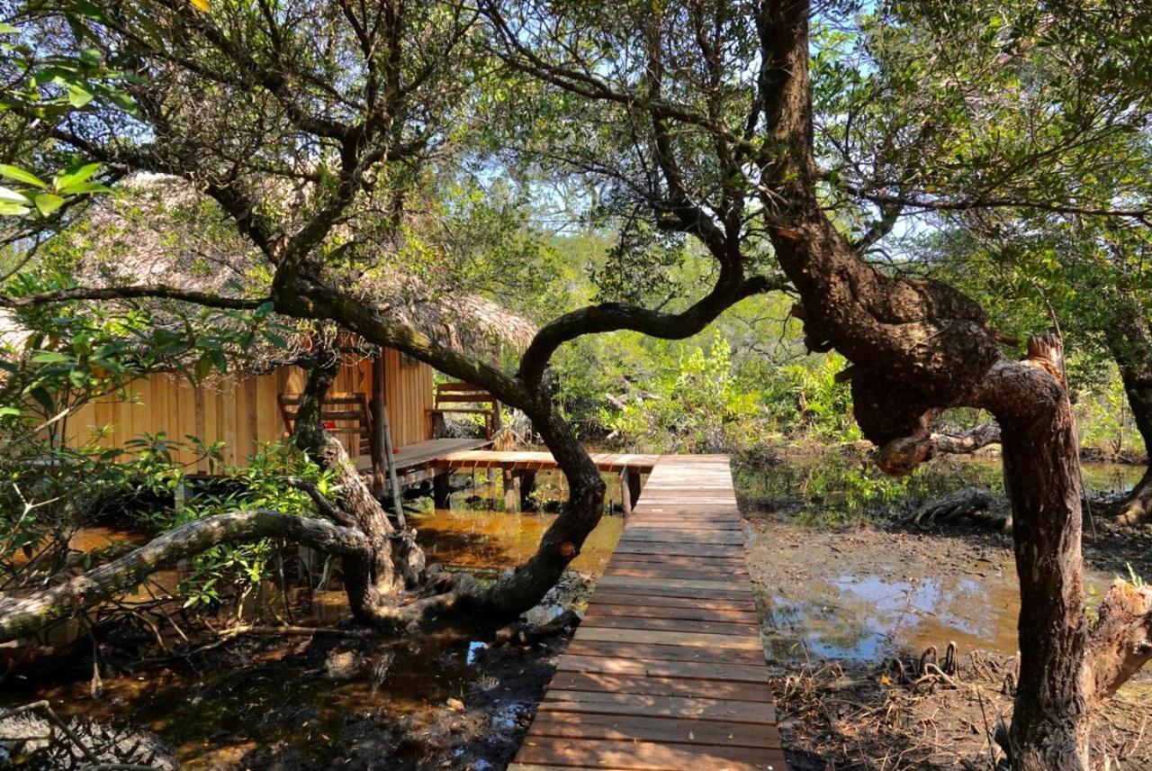 Lily'S Riverhouse Prek Svay Village المظهر الخارجي الصورة