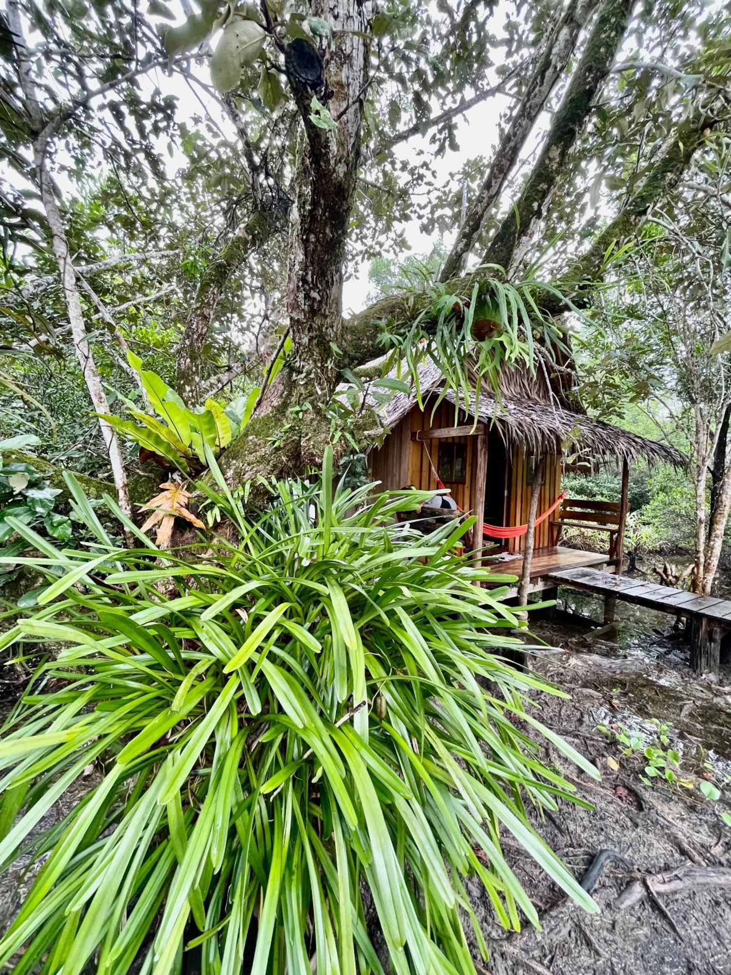 Lily'S Riverhouse Prek Svay Village المظهر الخارجي الصورة