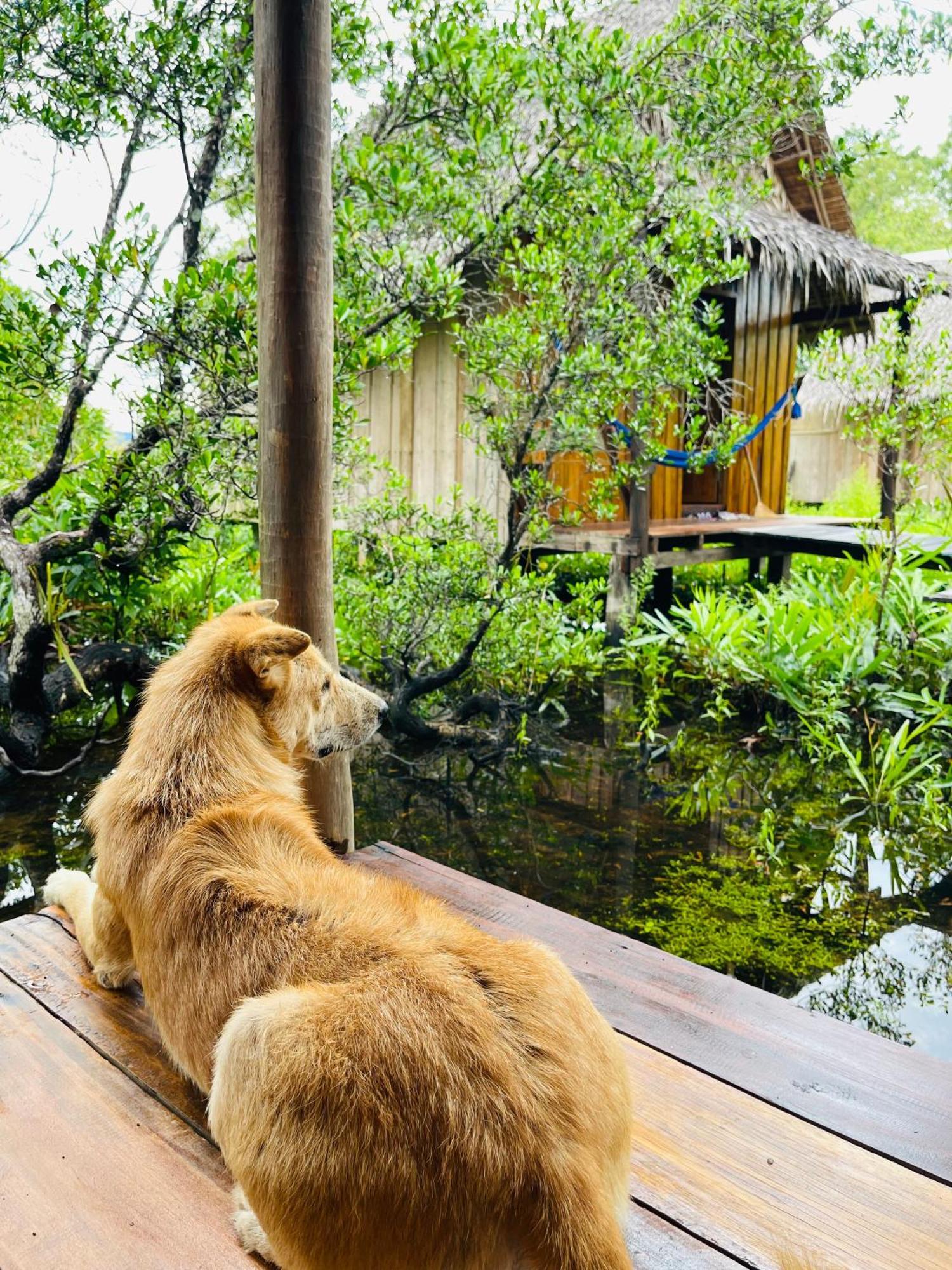 Lily'S Riverhouse Prek Svay Village المظهر الخارجي الصورة